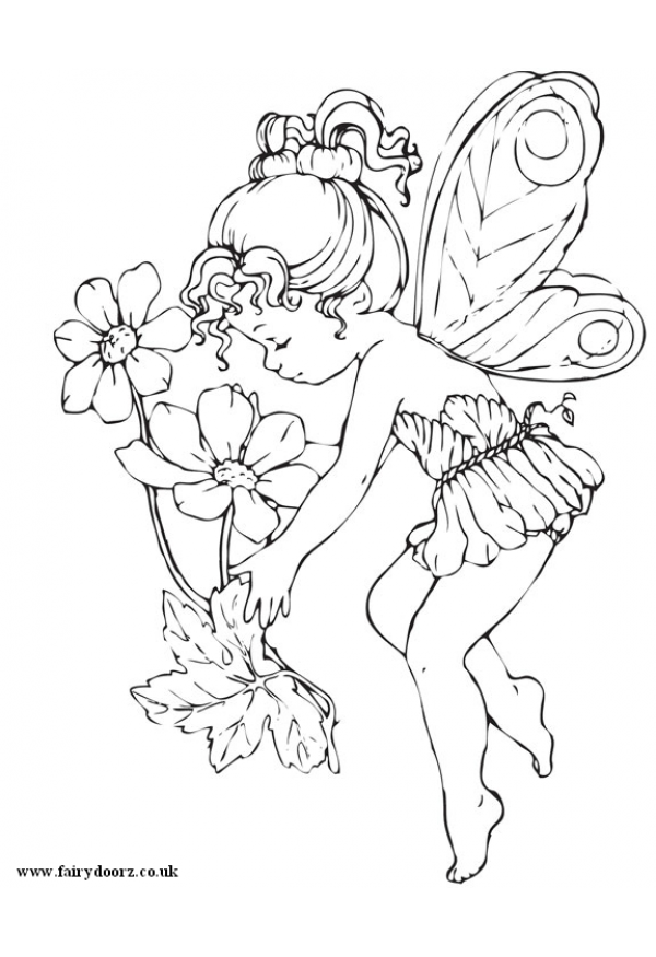 Fairy Colour In Sheet 4